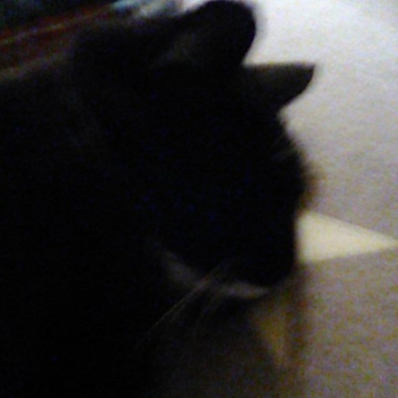 Meet your Posher, Mike - Picture 1 of 1